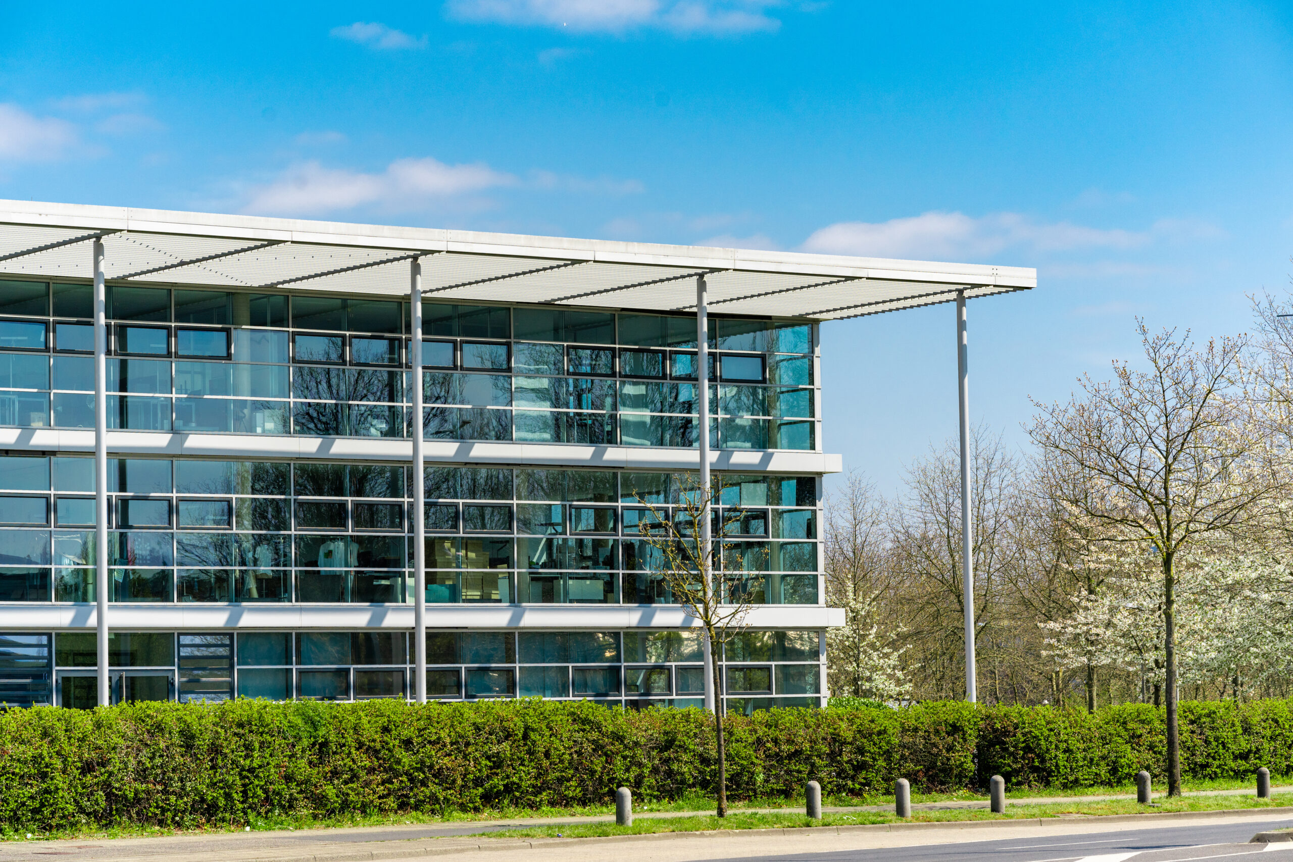 IT Company